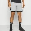 Nike Performance PARIS ST GERMAIN STADIUM SHORT AWAY - Sports Shorts - Light Smoke Grey/black
