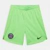 Nike Performance PARIS ST GERMAIN STADIUM - Shorts - Green Strike/mean Green/black