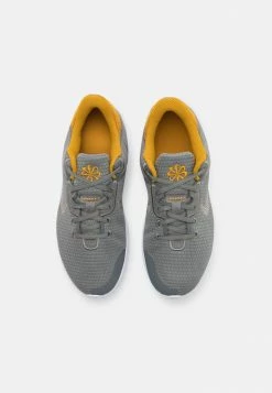 Nike Performance FLEX EXPERIENCE RN 11 NN - Neutral Running Shoes - Flat Pewter/metallic Pewter/gold/white -Nike Performance store 43d0d6156dcb4122a150be95d3f14a78