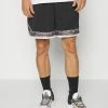 Nike Performance GIANNIS DRY FIT SHORT - Sports Shorts - Black/sail