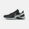 Nike Performance LEGEND ESSENTIAL 2 - Training Shoe - Black/metallic Cool Grey/metallic Silver/photon Dust/light Silver