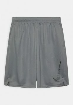 Nike Performance Sports Shorts - Smoke Grey/(black)