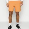 Nike Performance HERITAGE SHORT - Sports Shorts - Hot Curry