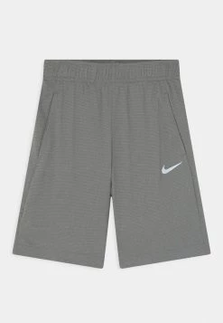 Nike Performance POLY - Sports Shorts - Carbon Heather