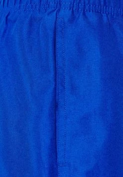 Nike Performance VOLLEY - Swimming Shorts - Game Royal -Nike Performance store 97fa12a18a9742e285e4d59565cba665
