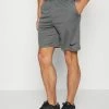 Nike Performance Sports Shorts - Iron Grey/(black)