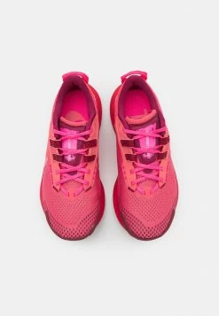 Nike Performance PEGASUS TRAIL 3 UNISEX - Trail Running Shoes - Archaeo Pink/pink Salt/hyper Pink/rush Maroon/black/reflect Silver -Nike Performance store ff84629d50dd4af4bc86f4cd546e02dc